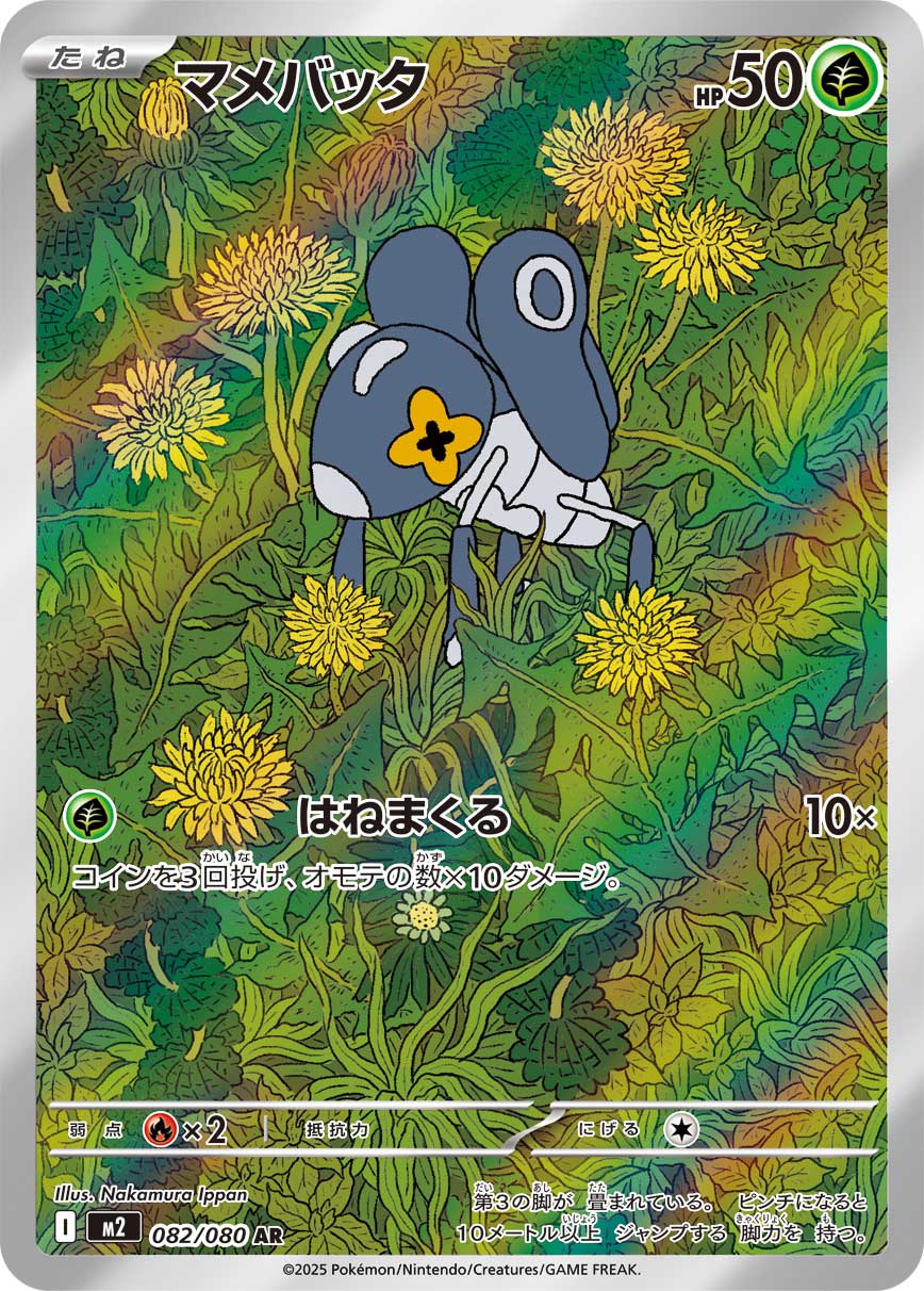 豆蟋蟀