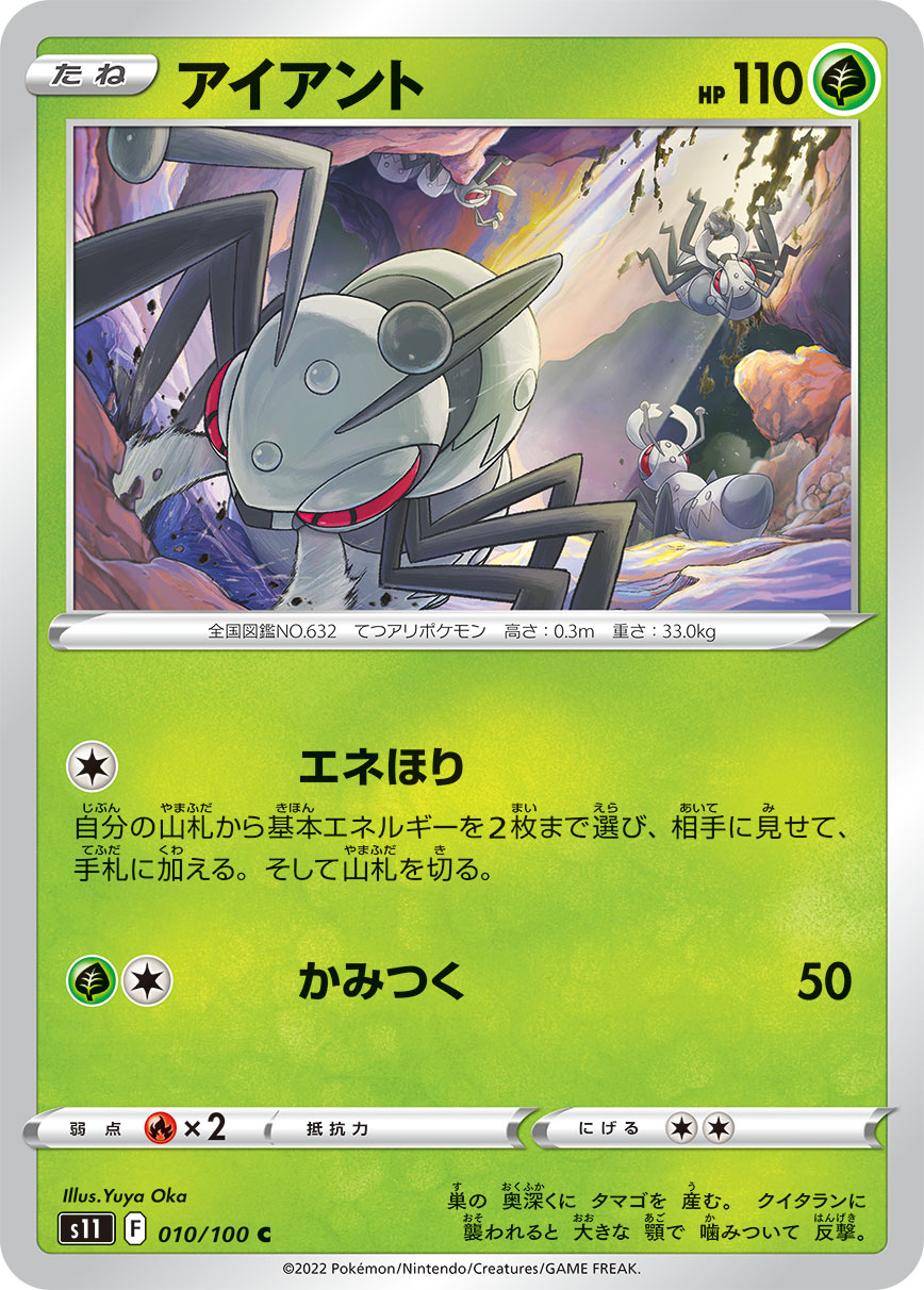 铁蚁