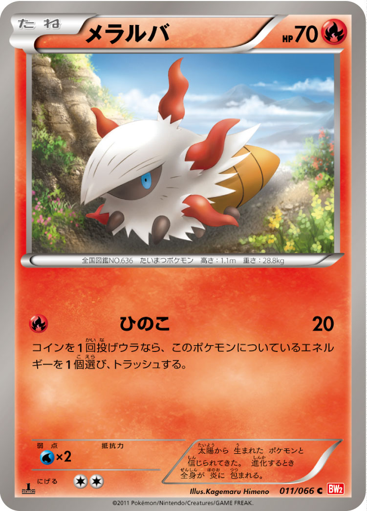 燃烧虫