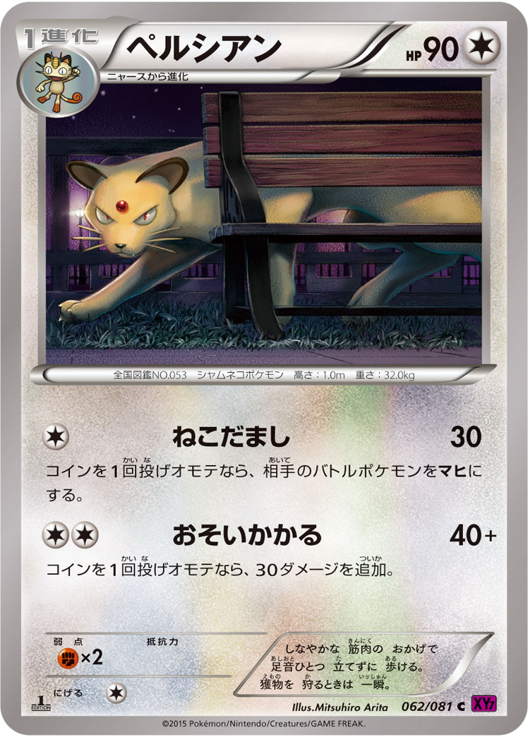 猫老大