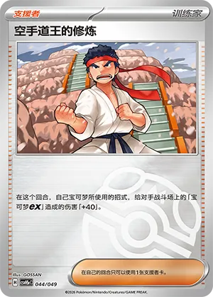 空手道王的修炼