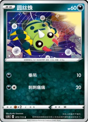 圆丝蛛