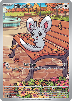 Minccino