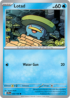 Lotad