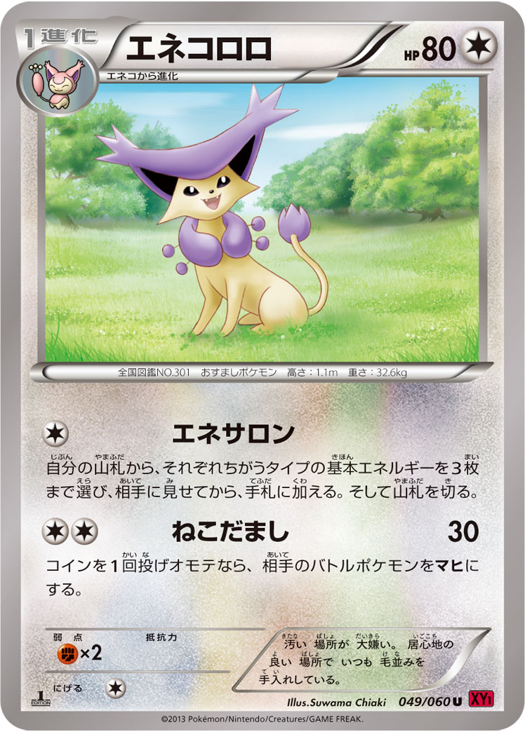 优雅猫