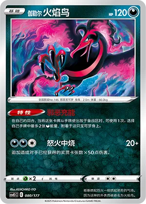 伽勒尔 火焰鸟