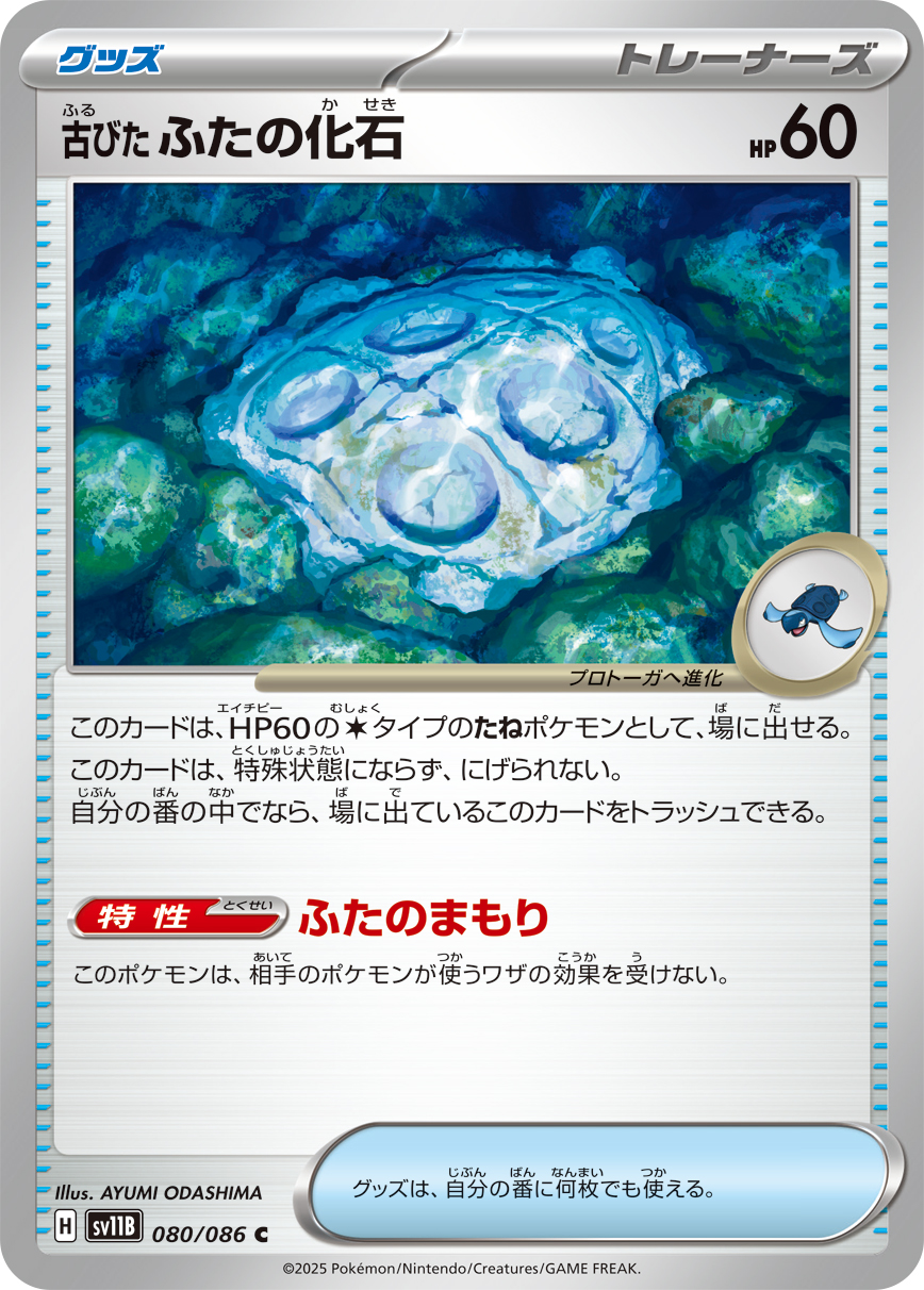 陈旧的背盖化石
