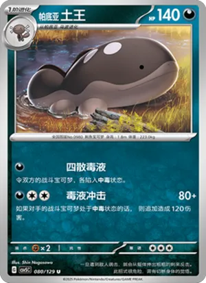 帕底亚 土王
