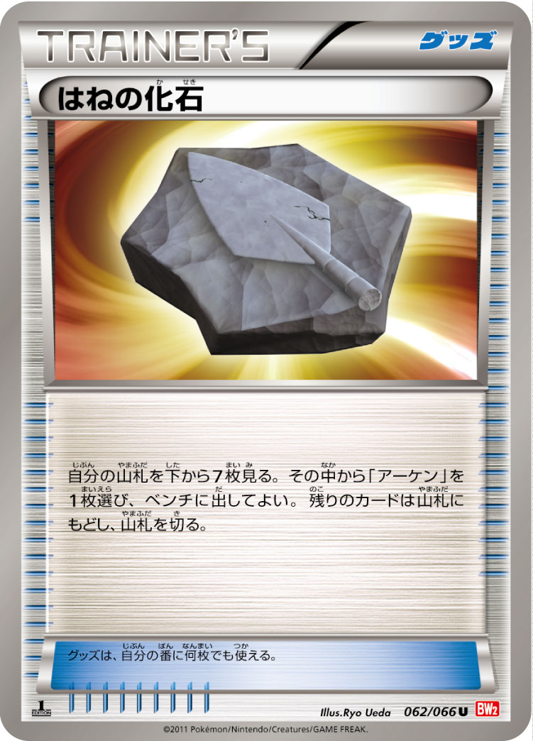 はねの化石
