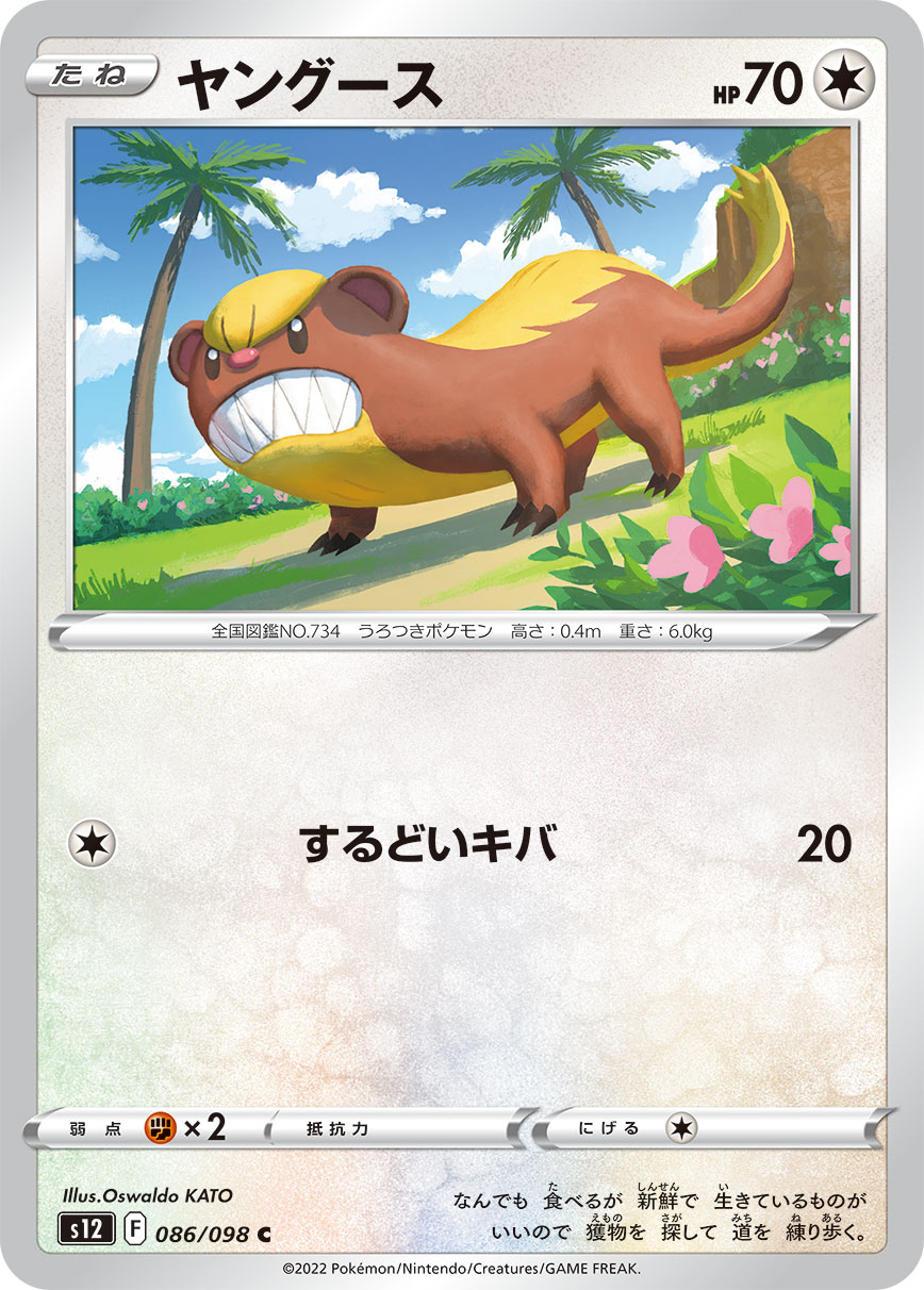 猫鼬少