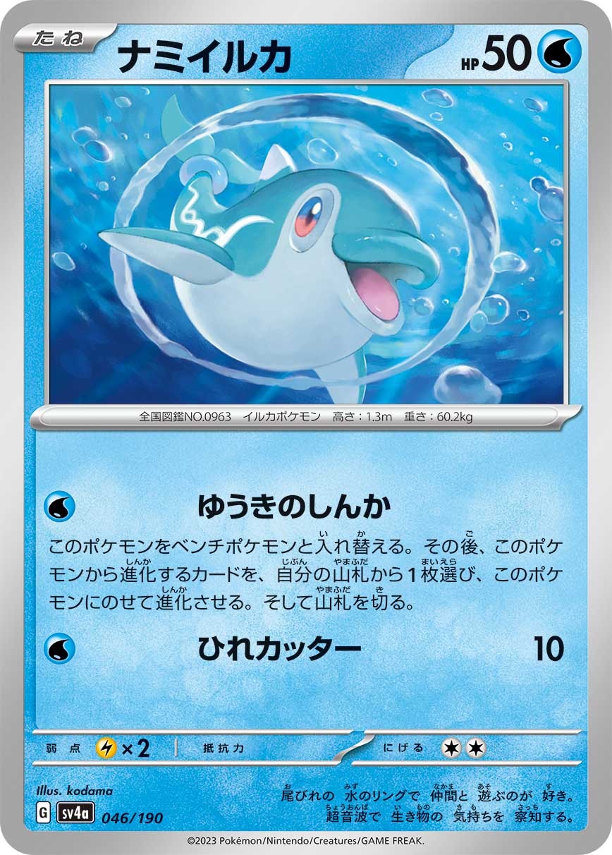 波普海豚