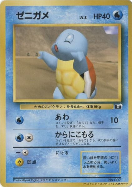 ゼニガメ