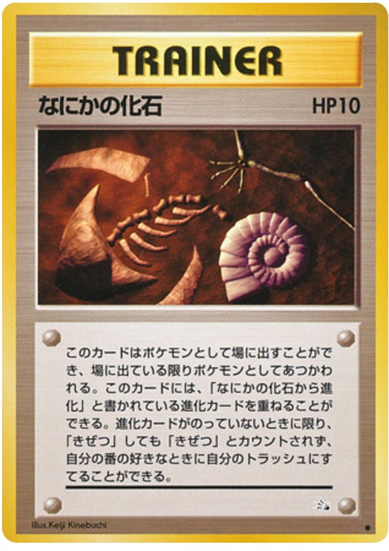 なにかの化石