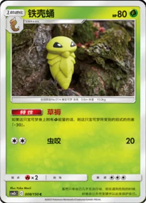 铁壳蛹