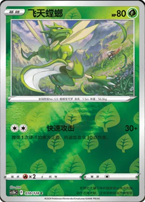 飞天螳螂