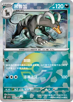 黑鲁加
