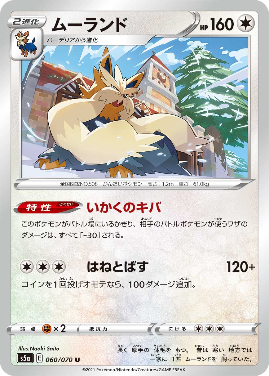 长毛狗