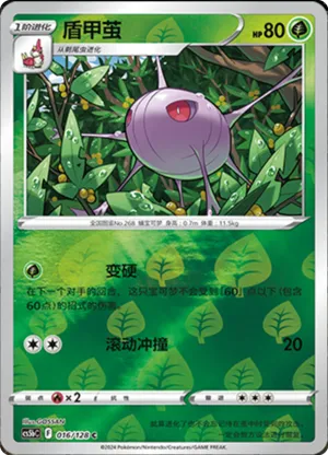 盾甲茧