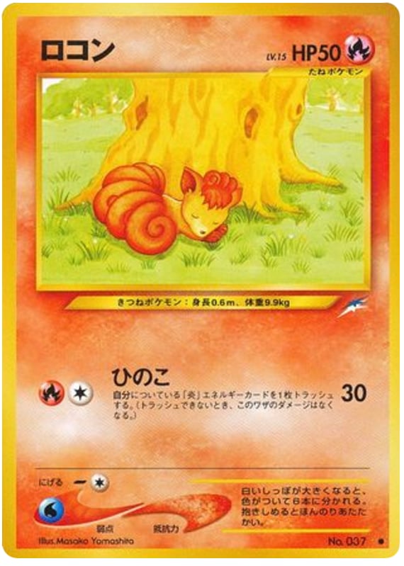 ロコン