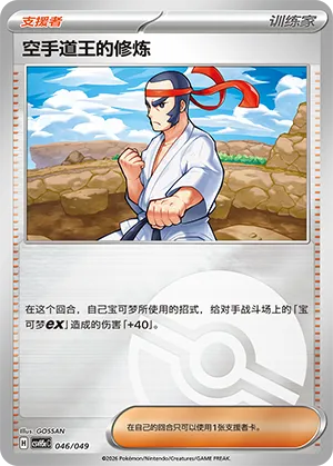 空手道王的修炼
