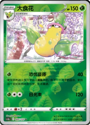 大食花