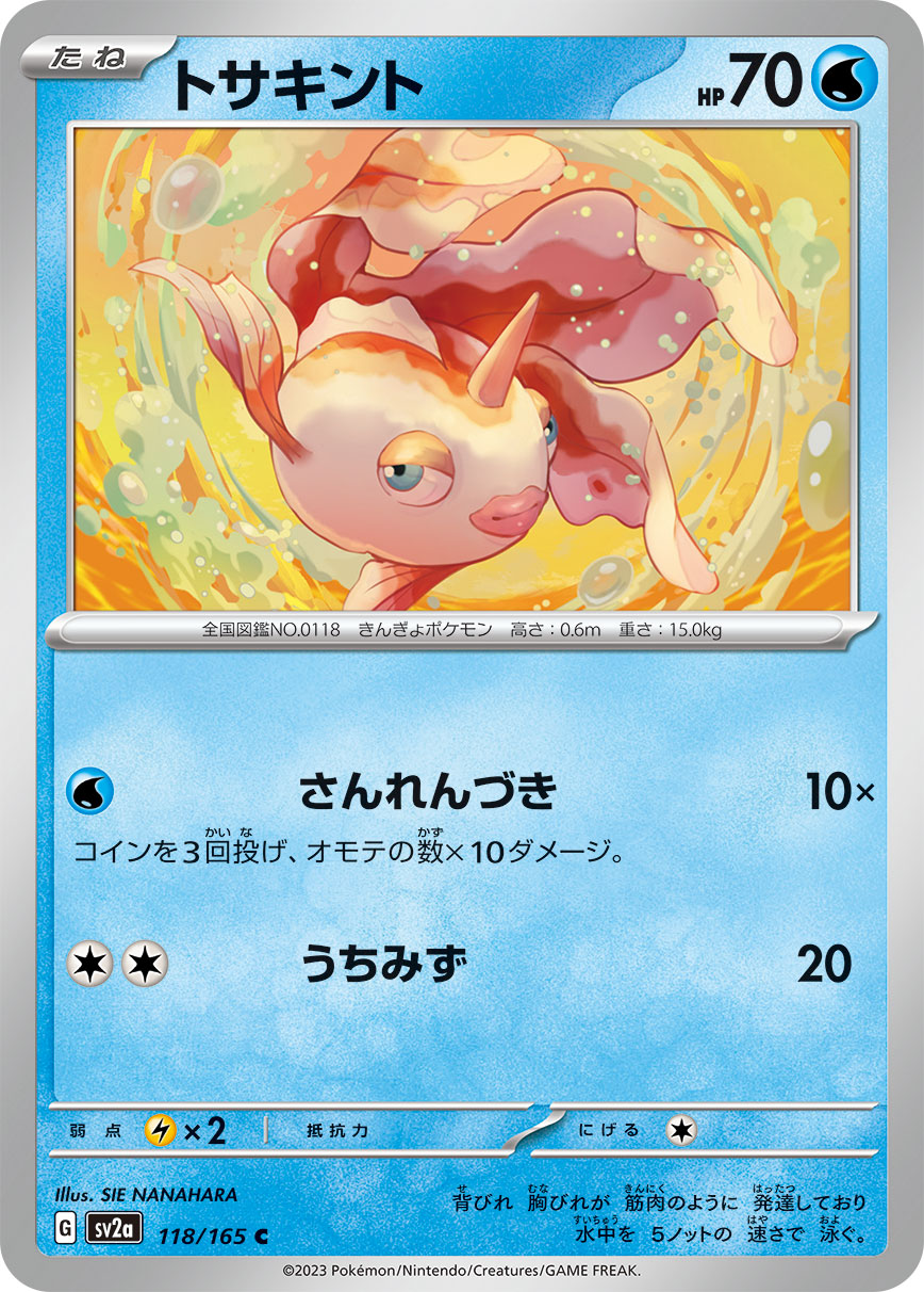 角金鱼