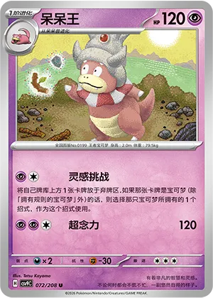 呆呆王
