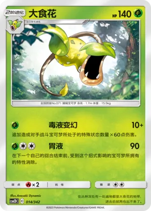 大食花