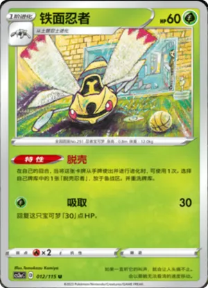 铁面忍者