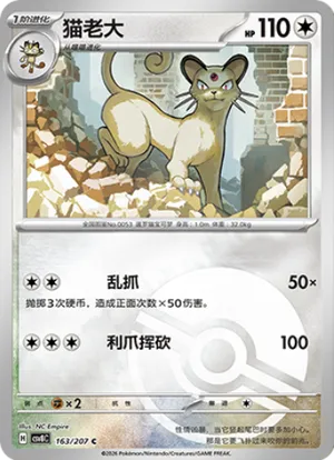 猫老大