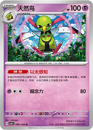 天然鸟