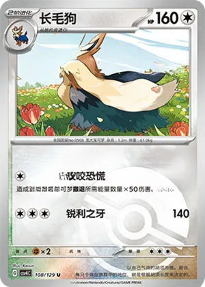 长毛狗
