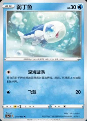 弱丁鱼