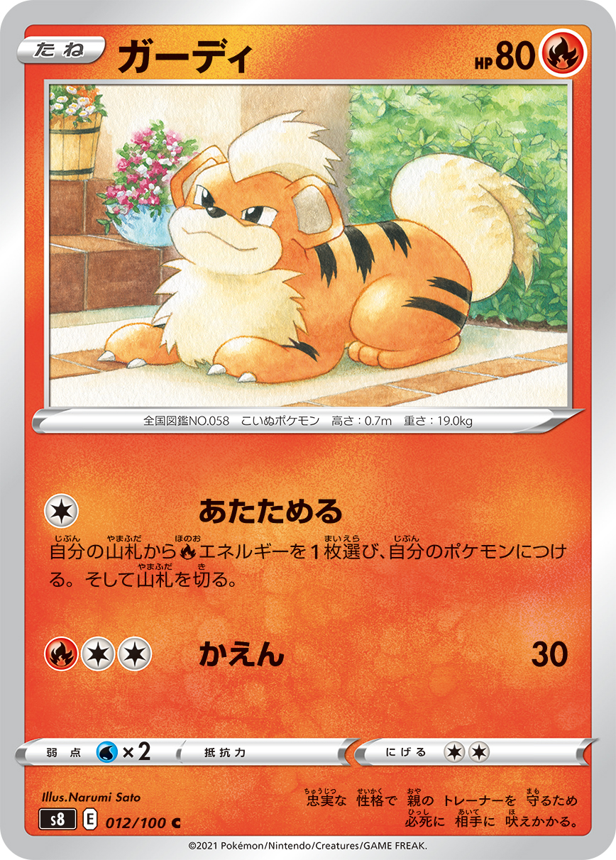 卡蒂狗