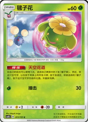 毽子花