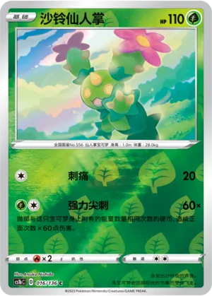沙铃仙人掌