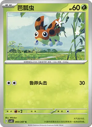 芭瓢虫