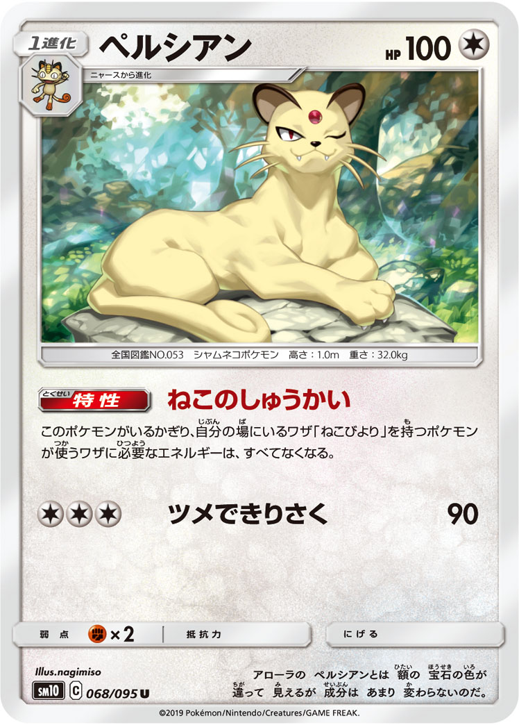 猫老大