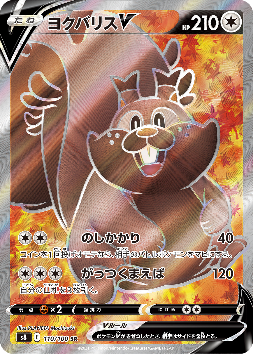 藏饱栗鼠V