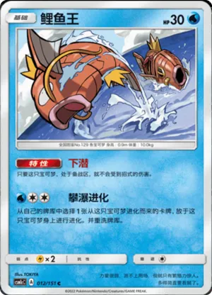 鲤鱼王