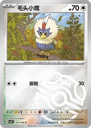毛头小鹰