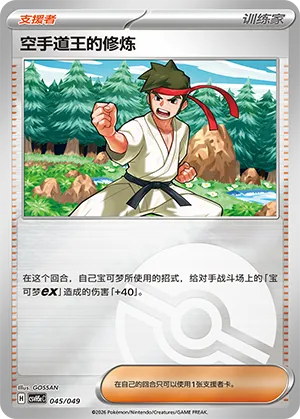 空手道王的修炼