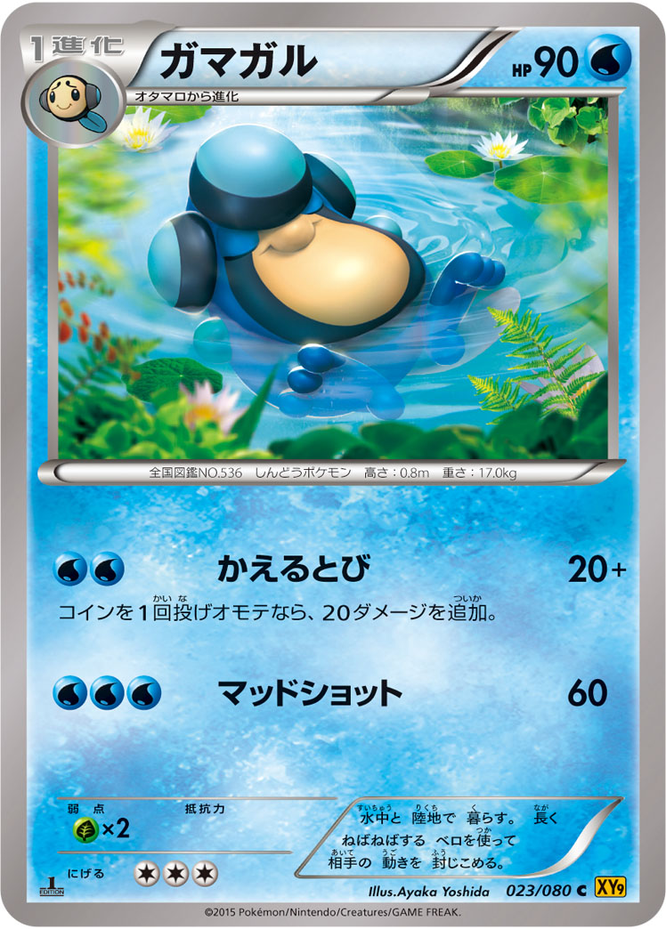 蓝蟾蜍