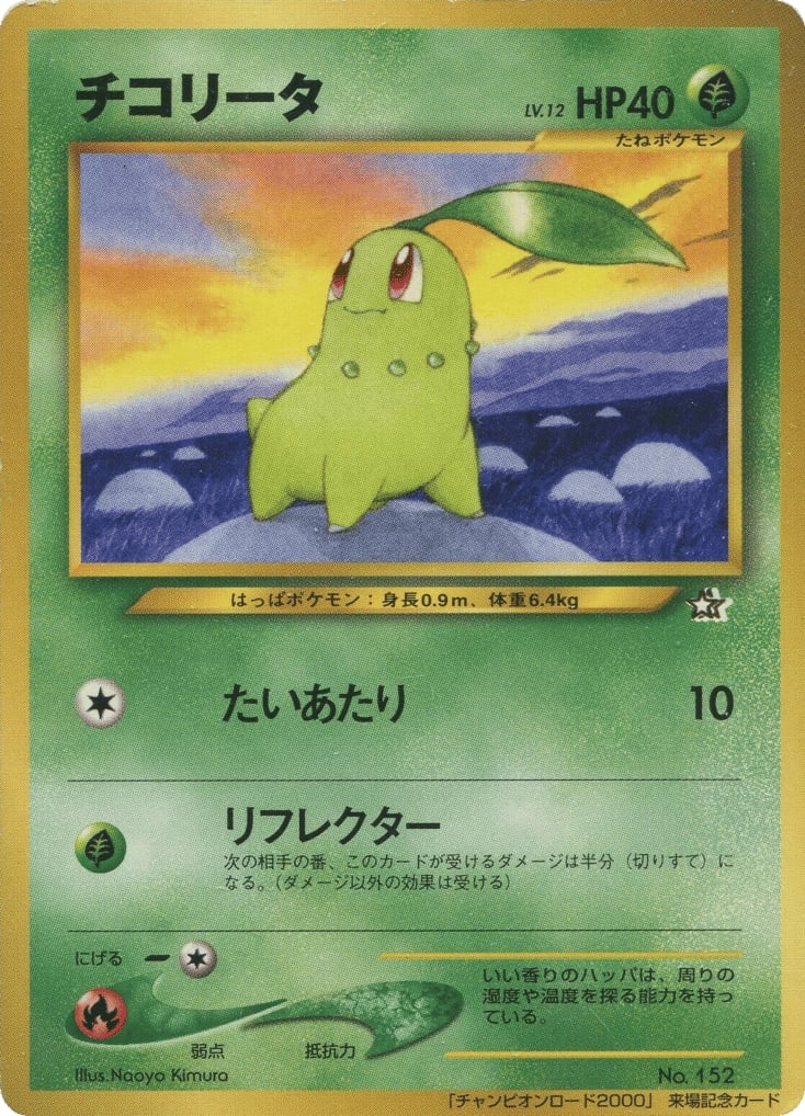 チコリータ