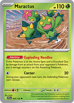 Maractus