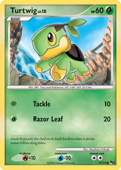 Turtwig
