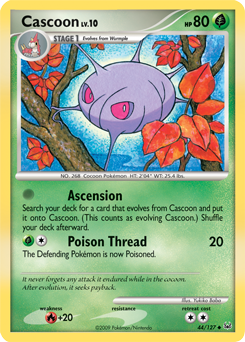 Cascoon
