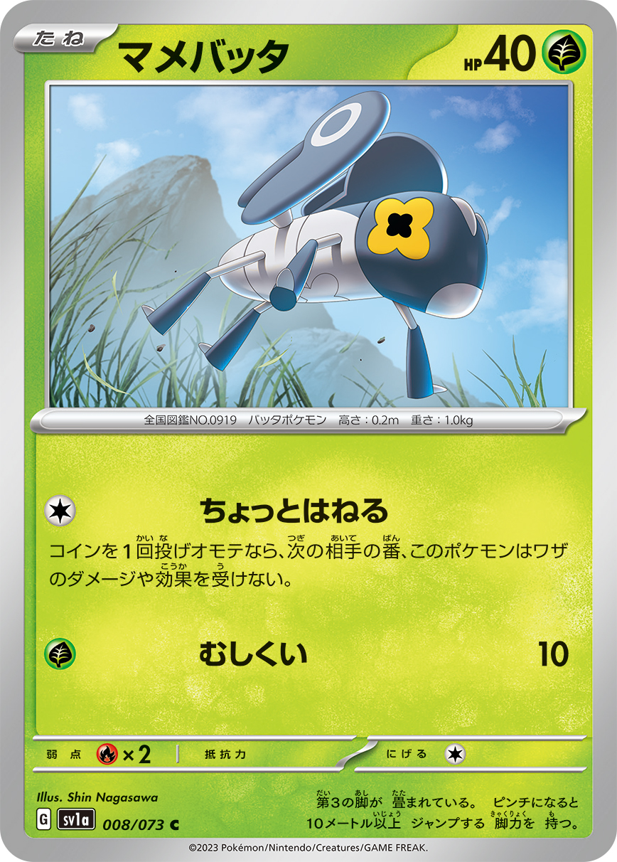 豆蟋蟀