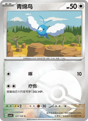 青绵鸟