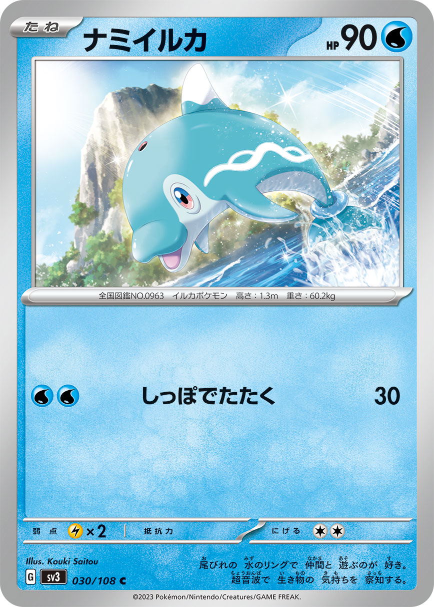 波普海豚